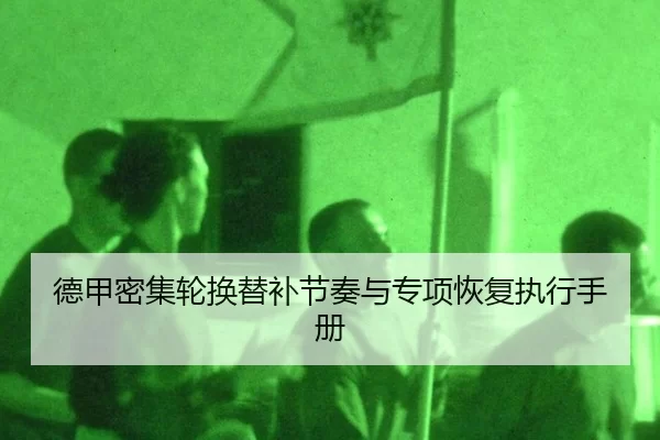 de-jia-mi-ji-lun-huan-ti-bu-jie-zou-yu-zhuan-xiang-hui-fu-zhi-xing-shou-ce-3-954.jpg
