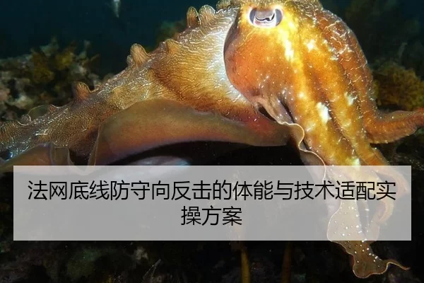 法网底线防守向反击的体能与技术适配实操方案